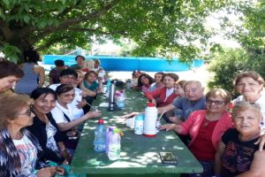 EE ACTIVIDADES RECREATIVAS PARA ADULTOS MAYORES EN VACACIONES 2