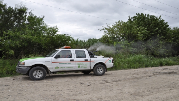 EE TRABAJOS DE FUMIGACIÓN Y DESRATIZACIÓN 2