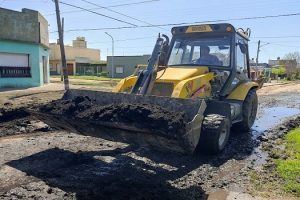 Fotos MGP - Tareas de mantenimiento y mejoras en el barrio Las Avenidas