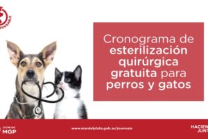MGP Campaña de castracion de mascotas