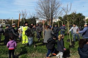 MGP - EMSUR - Finalizacion curso de poda