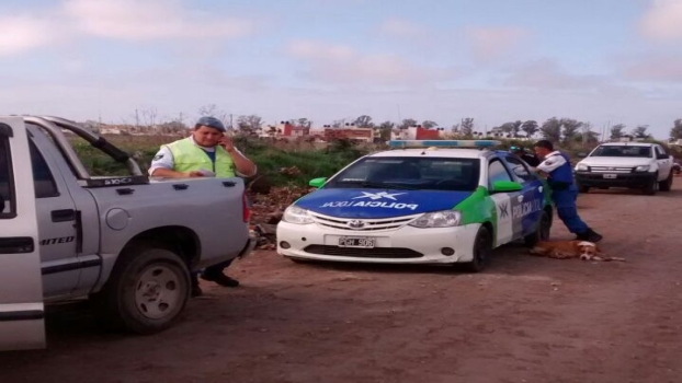 MGP Infraccion por arrojar basura en la via publica1