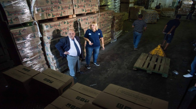 mgp-alimentos-pfiestas