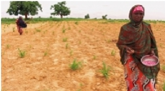 fao agric_108