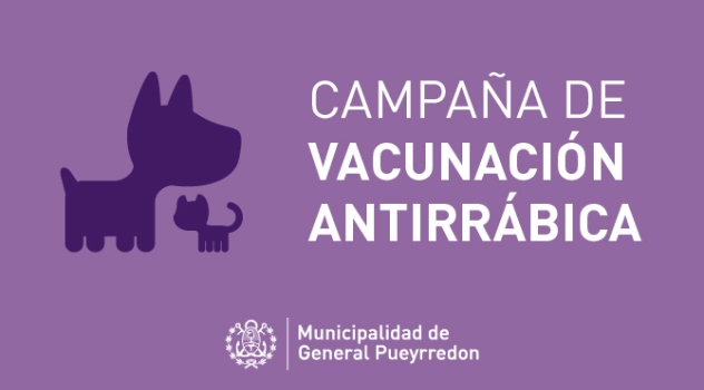 mgp placa-vacunacion-antirrabica