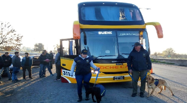 ms Cayó banda hermano Chipi Barijho