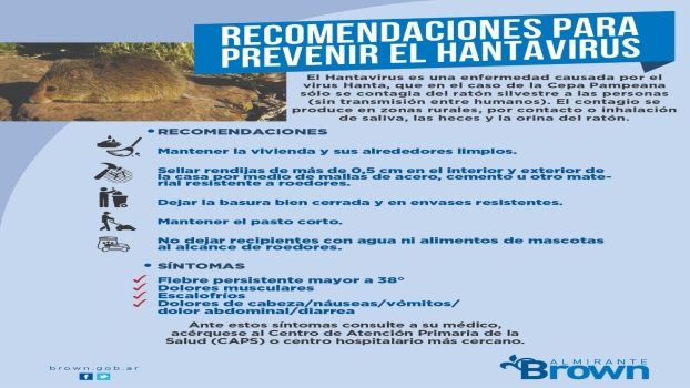 AB hantaVIRUS