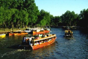 Delta-Tigre
