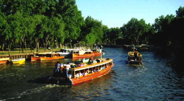 Delta-Tigre