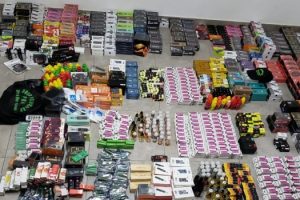 Desbaratan red de contrabando en Zárate (9)