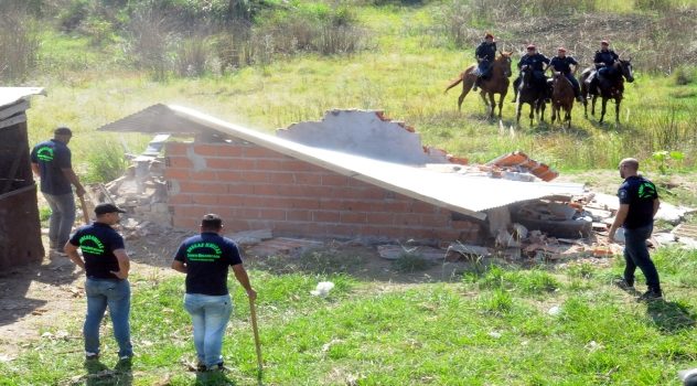 Detuvieron a los narcoverdugos (5)