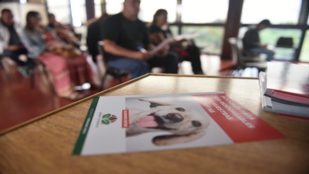 EE CASTRACIONES COMUNITARIAS GRATUITAS 2