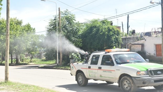 EE FUMIGACIÓN Y DESRATIZACIÓN EN LUIS GUILLÓN