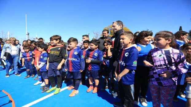 EE GRAY JUNTO A INSTITUCIONES DEPORTIVAS DEL DISTRITO