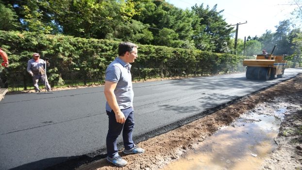 EE GRAY RECORRE OBRAS EN CANNING 2