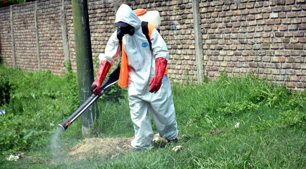 EE TRABAJOS DE FUMIGACIÓN Y DESRATIZACIÓN