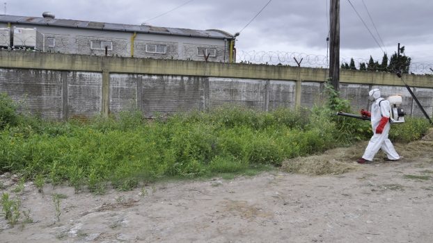 EE TRABAJOS DE FUMIGACIÓN Y DESRATIZACIÓN