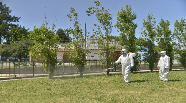 EE fumig Dengue