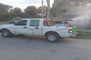 EE fumiga