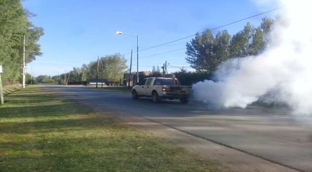 EE fumiga