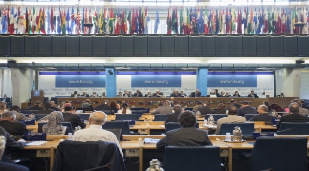 FAO 40º Período Sesiones
