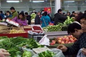 FAO ALIMENTOS VITALES