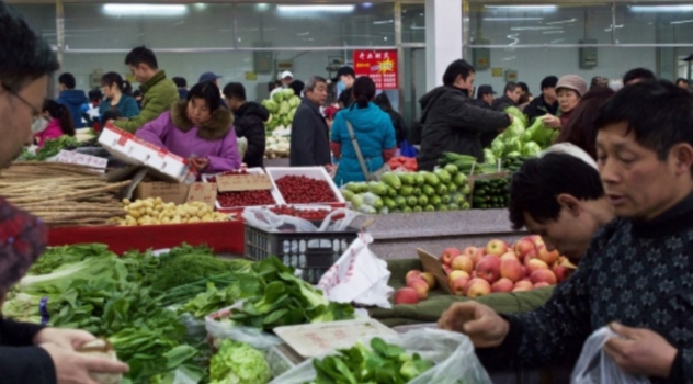 FAO ALIMENTOS VITALES