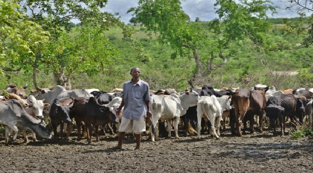 FAO DETERIORO alimentario