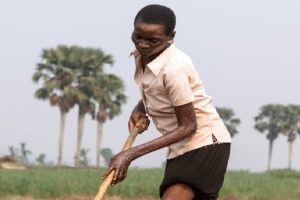 FAO EL CONGO