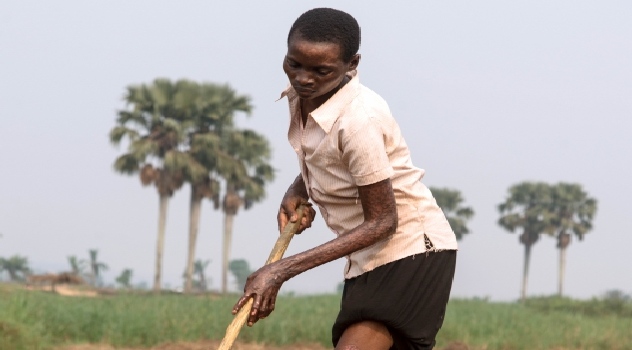 FAO EL CONGO