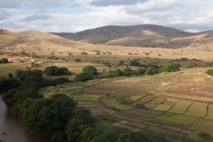 FAO POBREZA ZONAS RURALES