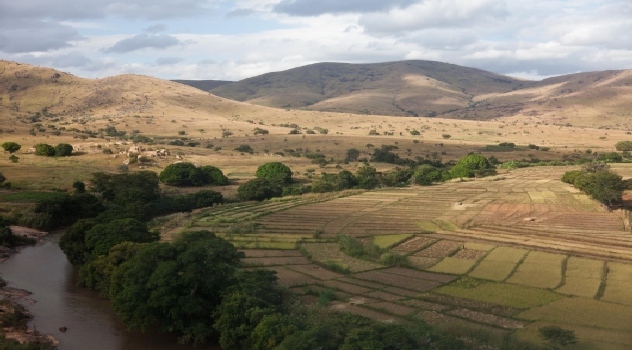 FAO POBREZA ZONAS RURALES