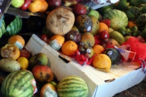 FAO Reducir falta alimentos