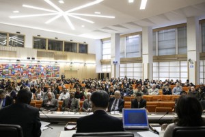 FAO YEMEN SIN ALIMENTOS