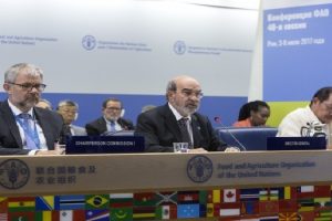FAO contra hambruna