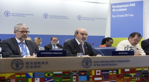 FAO contra hambruna