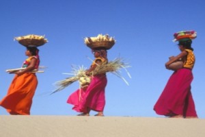 FAO erradicación hambre
