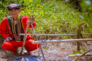 fao-indigenassinhambre