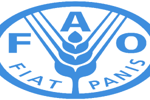 FAO_logo.jpg