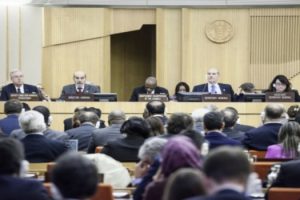 fao-mayor-atcambioclim