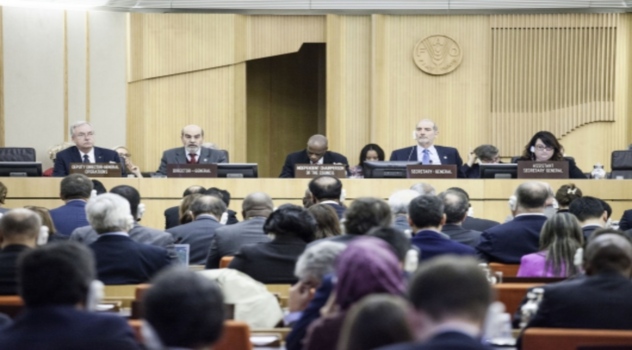 fao-mayor-atcambioclim