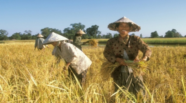 fao2-agricultcambioclimat
