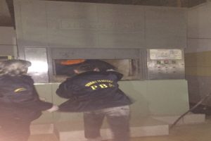 Incineraron casi 100 kilos de droga (5)