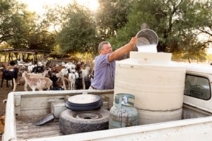 Leche tambos