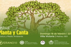 MGP - Actividad domingo