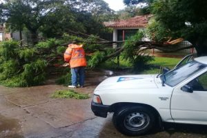 MGP - Alerta de viento y lluvia