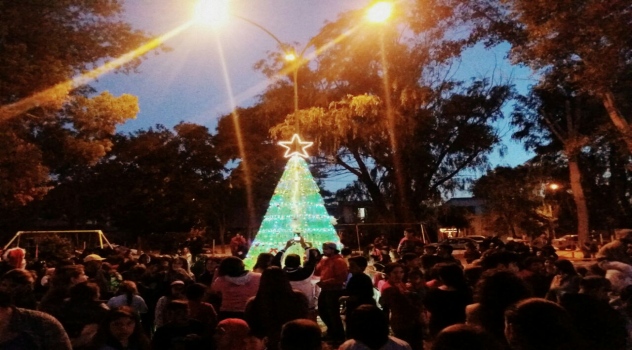 mgp-arbol-de-navidad-en-batan-1