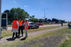 MGP CONTROL BROMATOLOGIA