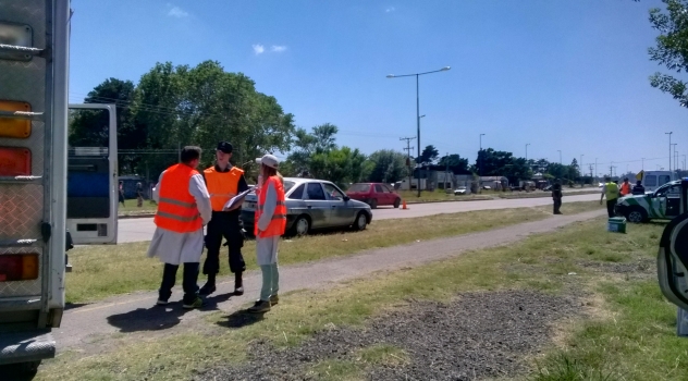 MGP CONTROL BROMATOLOGIA