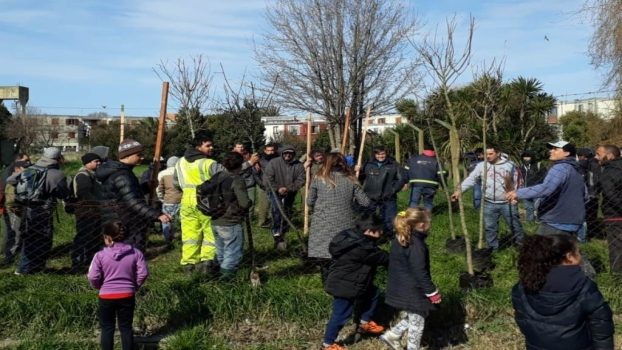MGP - EMSUR - Finalizacion curso de poda